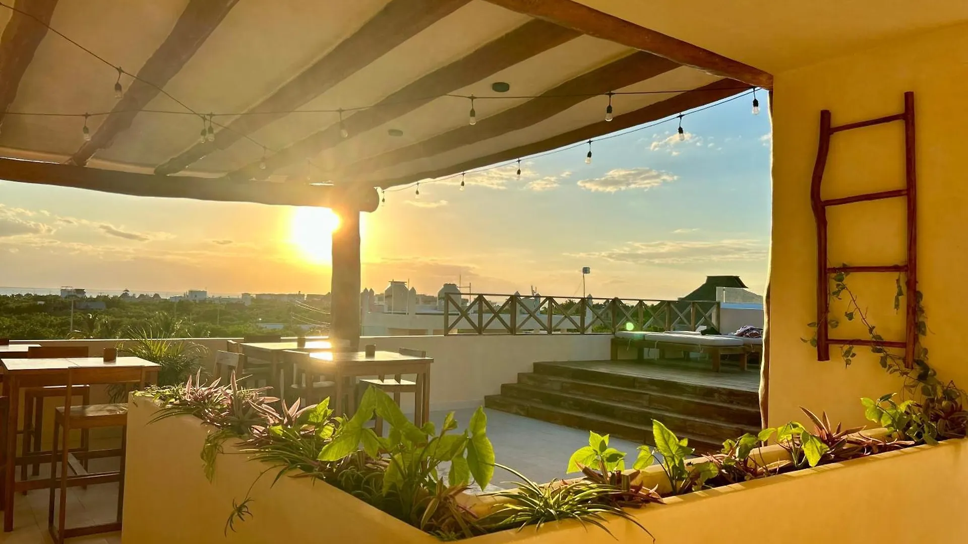 Sunsteps On The Rooftop Apartment Isla Holbox