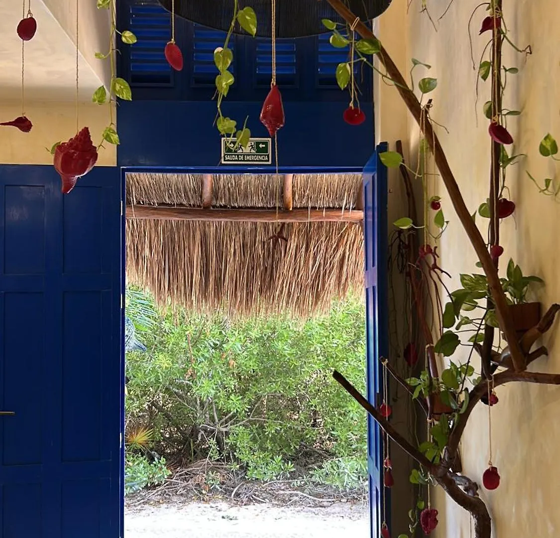 Sunsteps On The Rooftop Apartment Isla Holbox