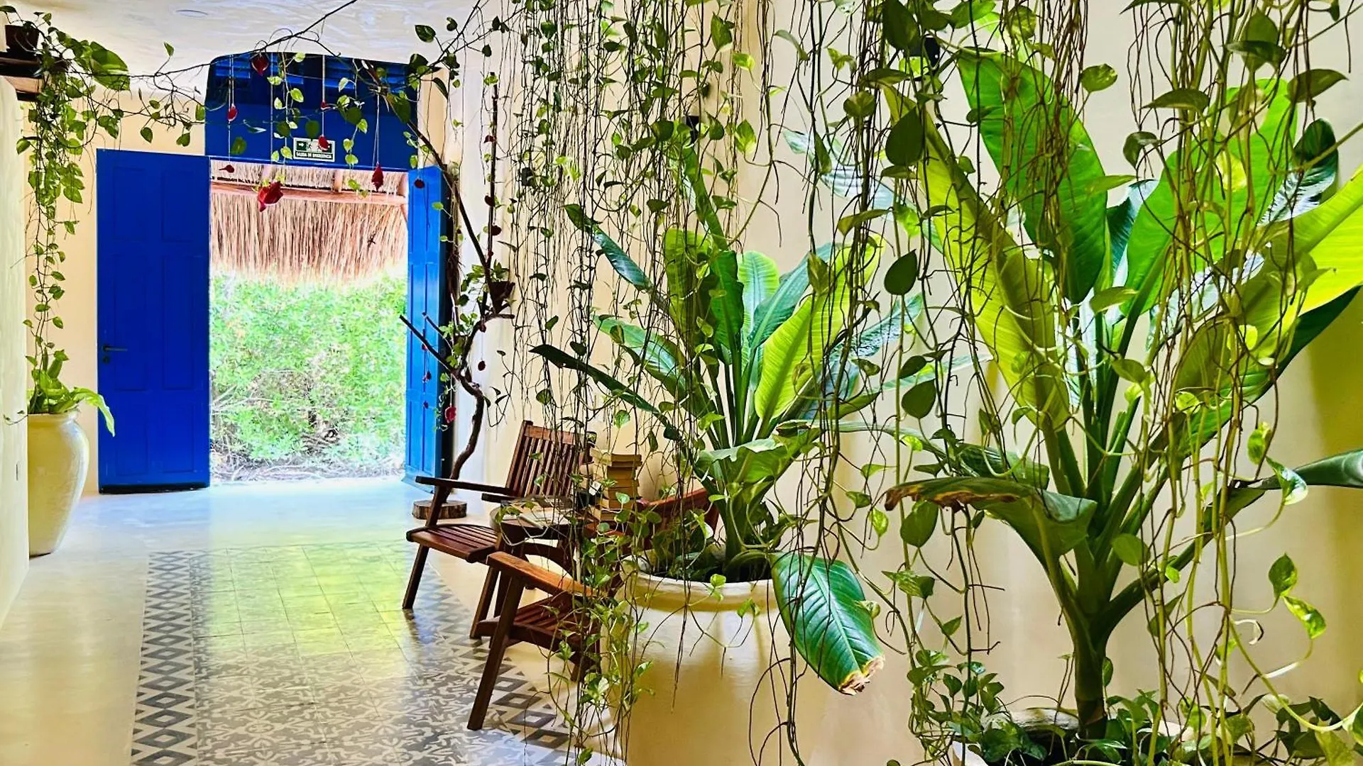 Sunsteps On The Rooftop Apartment Isla Holbox